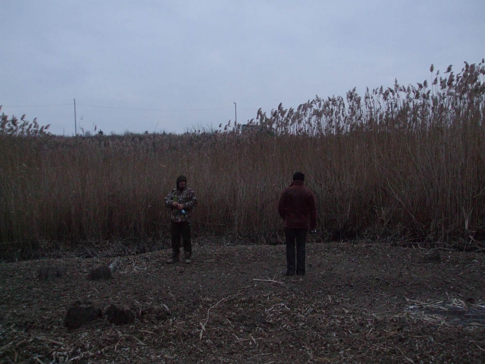 TANCABESTI SECAT - DSCF3485.jpg